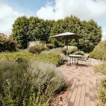 Okelmann's - Eco &