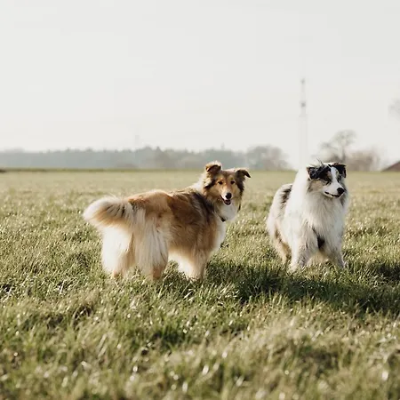 Okelmann's - Entspannte Achtsamkeit - Bewusster Lifestyle Szálloda 4*